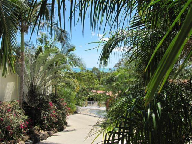 Reefside Villas - Whitsundays شاطئ إيرلي المظهر الخارجي الصورة